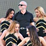 pitbull