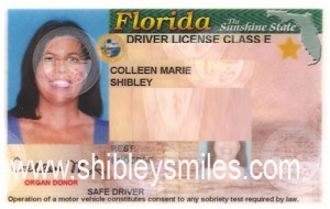 florida dmv drivers license check